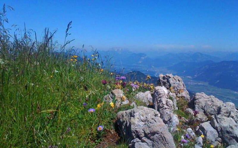 Gasthof Pension Alpenblick Radfeld Zewnętrze zdjęcie