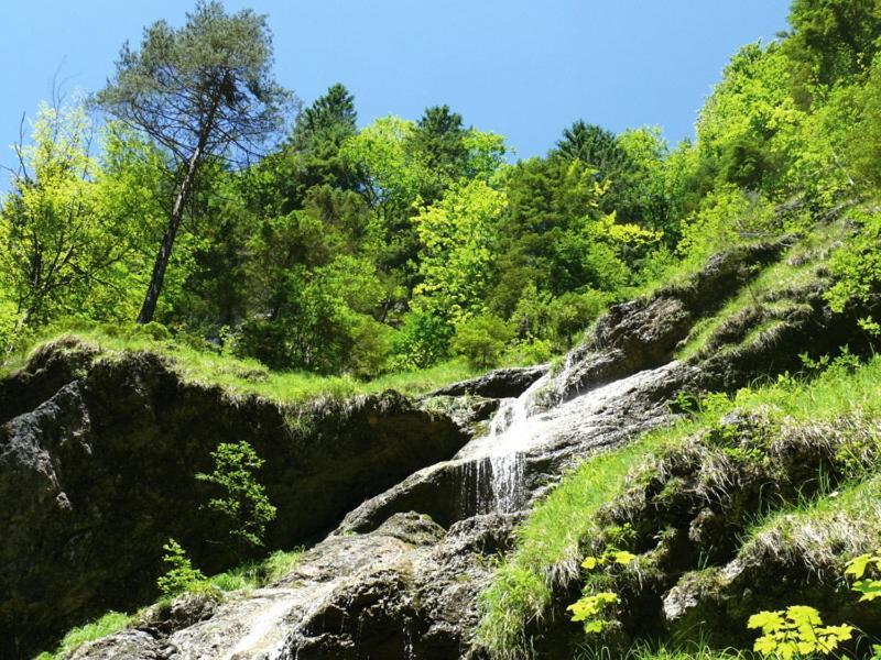 Gasthof Pension Alpenblick Radfeld Zewnętrze zdjęcie